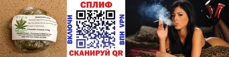 площадка какой сайт  Ленинск-Кузнецкий  Canna-Cookies конопля 