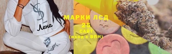 ГАЛЛЮЦИНОГЕННЫЕ ГРИБЫ Арсеньев