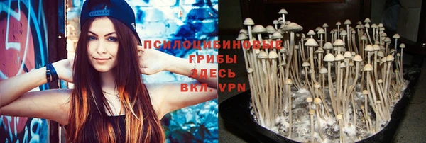 ГАЛЛЮЦИНОГЕННЫЕ ГРИБЫ Арсеньев