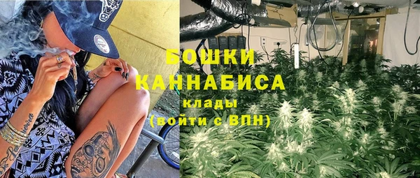 ГАЛЛЮЦИНОГЕННЫЕ ГРИБЫ Арсеньев