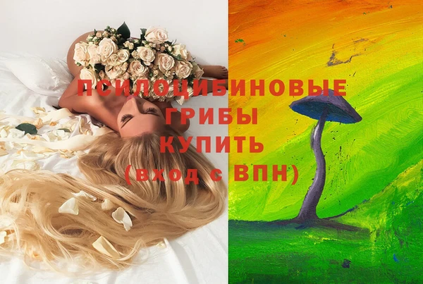 ГАЛЛЮЦИНОГЕННЫЕ ГРИБЫ Арсеньев