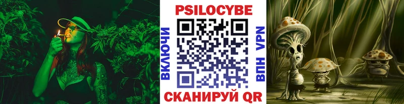 кракен онион  Ленинск-Кузнецкий  Галлюциногенные грибы мухоморы  что такое  