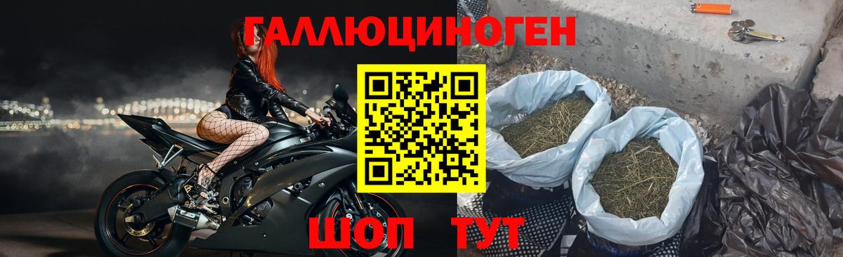 Псилоцибиновые грибы Magic Shrooms  Вход с VPN  Ленинск-Кузнецкий 