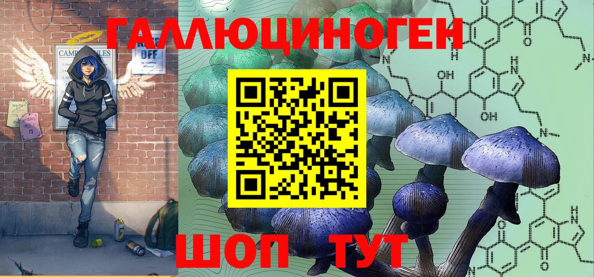 Псилоцибиновые грибы мицелий Ленинск-Кузнецкий