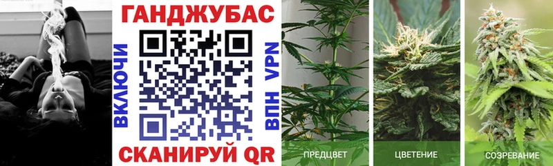 Марихуана план  Ленинск-Кузнецкий 